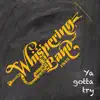 Whispering Band - Ya Gotta Try - Single